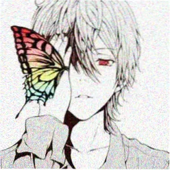 用户 铁轨上的猫 头像